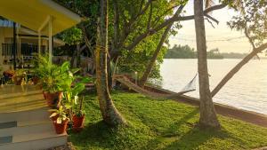 a hammock on the side of a house by the water at Lakefront 1 BR Cabin with Lake access & Hammock in Kollam