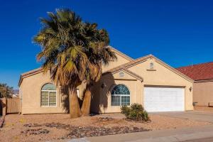 eine Palme vor einem Haus in der Unterkunft Large house for entire family in Mesquite Creek