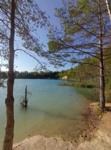 a view from the shore of a lake at Nature Heaven in Carlsbad in Karlovy Vary