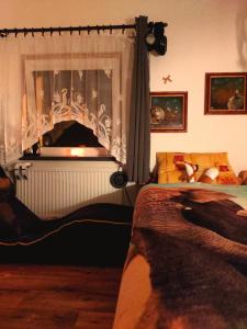 a bedroom with a bed and a window with a fireplace at Nature Heaven in Carlsbad in Karlovy Vary