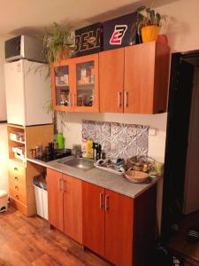 a kitchen with wooden cabinets and a sink at Nature Heaven in Carlsbad in Karlovy Vary