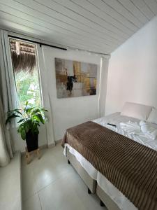 une chambre avec un lit et une plante en pot dans l'établissement Gute Morro Villa Apartments, à Cairu