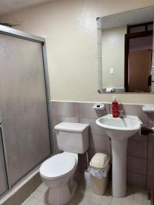 ein Badezimmer mit Toilette, Waschbecken und Dusche in der Unterkunft Jacquelins house in Baños