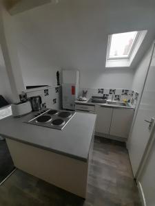 a small kitchen with a stove and a sink at Canton Principality Stadium Studio Flat in Cardiff