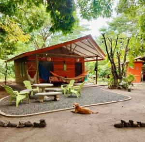 a dog laying on the ground in front of a cabin at Casa LORA Eco nature retreat in Bagaces in Bagaces