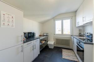 Kuchyň nebo kuchyňský kout v ubytování Swiss Suites Oberentfelden