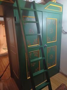 a green cabinet with a ladder next to a door at Apartment with fireplace near the Vauban City in Briançon