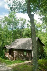 a log cabin in the woods next to a tree at The Sassafras Breeze in Topton
