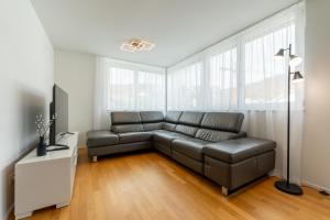 a living room with a couch and a television at Swiss Suites - Stusslingen in Lostorf