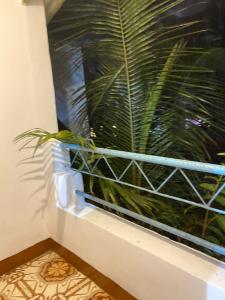 a plant sitting on a window sill next to a plant at Messianic guest house in Arambol