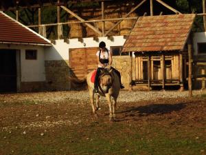 Horseback riding at a vendégházakat or nearby