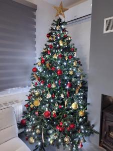 a christmas tree with ornaments on it in a living room at Paulos & Eva's house in Tríkala