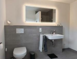 a bathroom with a sink and a toilet and a mirror at Annas Ferienwohnung in Wallerfangen