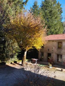 a large tree in front of a house at La Mansarde in La Chapelle-aux-Bois +11 photos