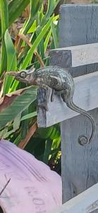 Fotografie z fotogalerie ubytování COKO Spice Gallery v destinaci Arusha