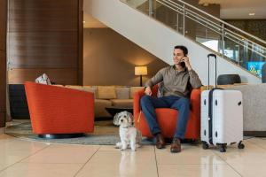Un hombre sentado en una silla naranja con un perro y un teléfono celular. en Courtyard by Marriott Panama Multiplaza Mall, en Panamá 92 fotos más