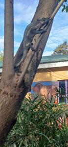 Fotografie z fotogalerie ubytování COKO Spice Gallery v destinaci Arusha