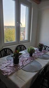 Fotografie z fotogalerie ubytování Duplex stan u Beogradu v Bělehradě