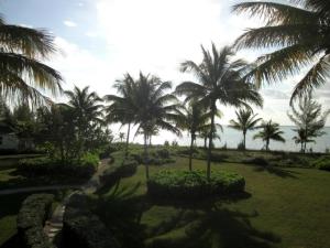 vistas a un parque con palmeras y al océano en The Blue Inn Family Vacation Rental, en Smiths Point Settlement