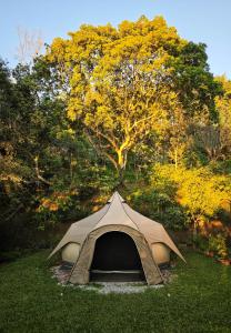 uma tenda na grama em frente a uma árvore em 山林間 - 露營 旅居 Camping & BNB in forests 需先匯款完成預訂 em Taian