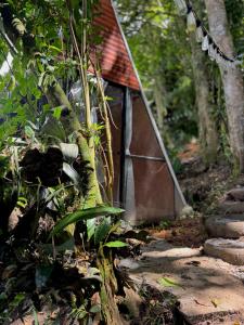 a small house in the middle of a forest at Eco Amigo el Rincón in Cerro Punta