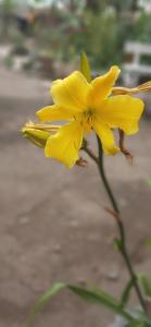 Fotografie z fotogalerie ubytování COKO Spice Gallery v destinaci Arusha