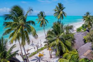 une vue aérienne d'une plage avec des palmiers et l'océan dans l'établissement ZAN Beach Hotel, à Bwejuu