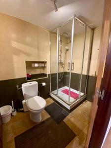 ベルメオにあるAPARTAMNTOS URDAIBAI 3のバスルーム(シャワー、トイレ、ガラス張りのシャワーブース付)