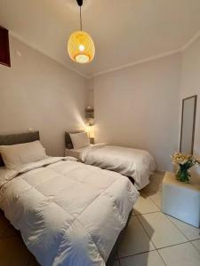 a bedroom with two beds and a potted plant at Mountain View Apartments in Kalavrita