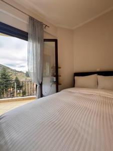 a bedroom with a large bed and a large window at Mountain View Apartments in Kalavrita