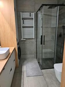 ブスコ・ズドロイにあるApartament Zdrojowyのガラスのシャワーと洗面台を備えたバスルーム