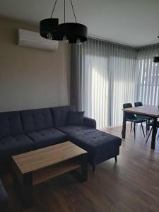 ブスコ・ズドロイにあるApartament Zdrojowyの青いソファとテーブルのあるリビングルーム