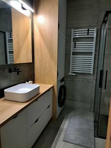 ブスコ・ズドロイにあるApartament Zdrojowyの洗面台とシャワー付きのバスルーム