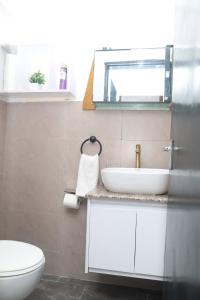 a bathroom with a sink and a toilet and a mirror at Makasembo Cozy Serenity in Kisumu
