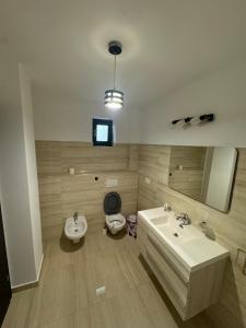 een badkamer met een wastafel en een toilet en een tv bij Madona Apartment in Craiova +3 foto's