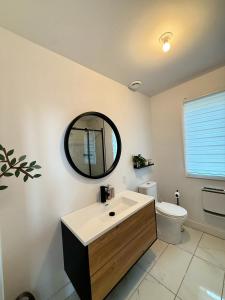 a bathroom with a sink and a mirror and a toilet at Le Chal'Heureux in Saint Adelphe +25 photos