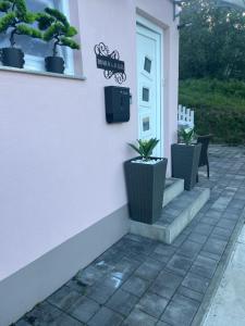 Zahrada ubytování Apartment Romeo & Julija, Near terme Olimia, Free Parking