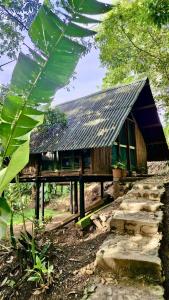 Κήπος έξω από το Tuqtuquilal - Cacao & Regenerative Center