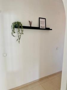 Caserío CarraspiteにあるSobremesa Boutiqueの白壁