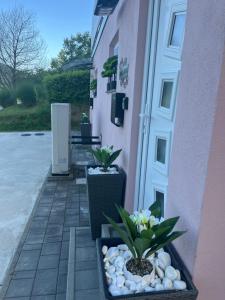 Zahrada ubytování Apartment Romeo & Julija, Near terme Olimia, Free Parking + 35 fotografií