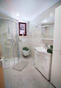 a bathroom with a shower and a toilet and a sink at Grunthouse in Prebold