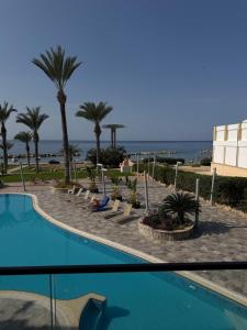 KlorakasにあるCasa Clara Apartment mit Meerblick direkt am Strandのヤシの木と海の景色を望むスイミングプールを望めます。 +8枚の写真