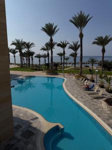 KlorakasにあるCasa Clara Apartment mit Meerblick direkt am Strandのヤシの木が背景に浮かぶスイミングプール