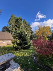 Zahrada ubytování Chaloupka U tří Meluzín