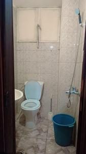 a bathroom with a toilet and a shower and a bucket at وسط البلد عمان in Amman