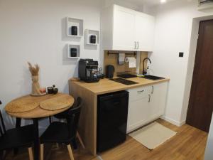 Η κουζίνα ή μικρή κουζίνα στο Studio Pieniny Szczawnica