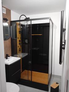 Ένα μπάνιο στο Studio Pieniny Szczawnica +14 φωτογραφίες