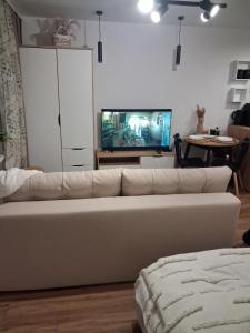 Μια τηλεόραση ή/και κέντρο ψυχαγωγίας στο Studio Pieniny Szczawnica