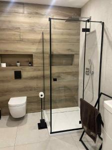 a bathroom with a shower and a toilet at ApartHouse in Klimontów