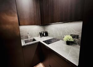 Kuchyň nebo kuchyňský kout v ubytování M&M Apartment IV SELF CHECK-IN